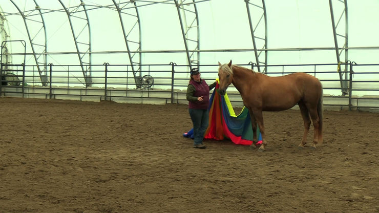 Working on the Parachute at Liberty - Training Session